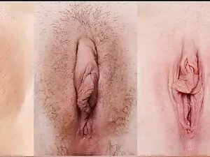Sidny streaming porn ...