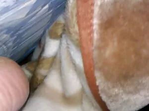 HD film porno gratui ...
